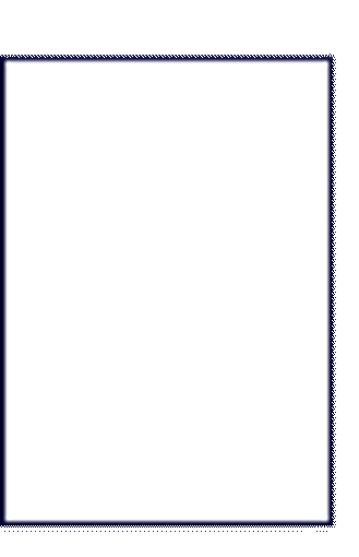 Slika Naljepnice 210  x297 bijele 10/1 MAYSPIES*